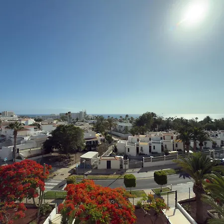 Piso Agaves أذيخي