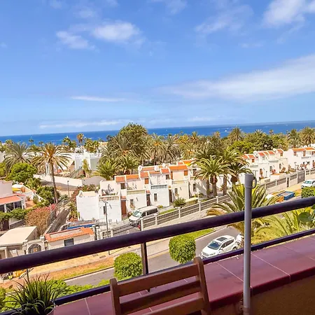 Piso Agaves أذيخي