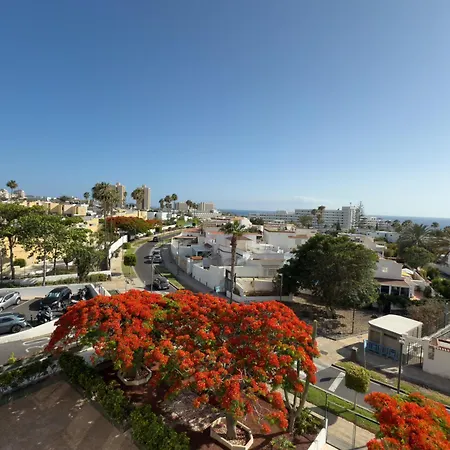 Piso Agaves * أذيخي